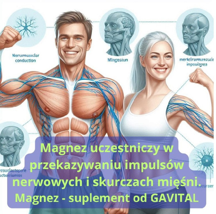 magnez przekaz impulsów nerwowych skurczach mięśni gavital plyn